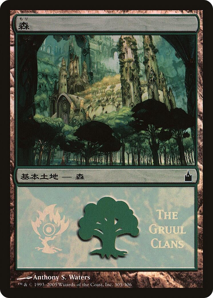Image for Forest (The Gruul Clans) (305) (PREM) - Magic: The Gathering