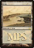 Image for Plains (2006) (1) (PREM) - Magic: The Gathering