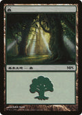 Image for Forest (2007) (5) (PREM) - Magic: The Gathering