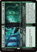 Image for Walk-In Closet // Forgotten Cellar (205) (PPDSK) - Magic: The Gathering