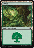 Image for Forest (0281) (281) (FDN) - Magic: The Gathering