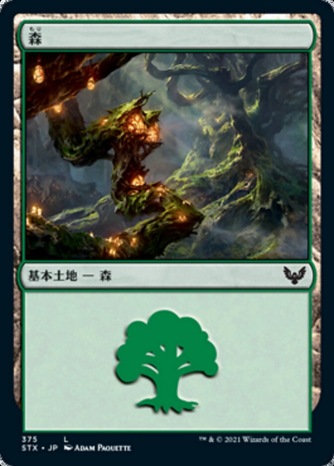 Forest