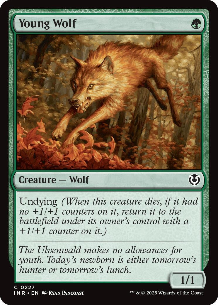 Image for Young Wolf (227) (INR) - Magic: The Gathering