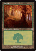 Image for Forest (296) (Retro Frame) (296) (INR) - Magic: The Gathering