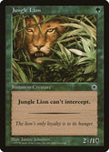 Jungle Lion
