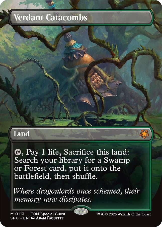 Image for Verdant Catacombs (Borderless) (113) (SPG) - Magic: The Gathering