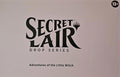 Secret Lair Adventures of the Little Witch