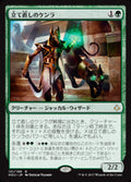 Resilient Khenra