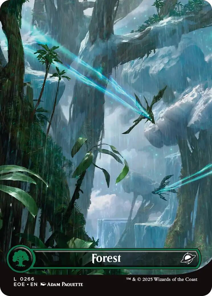 Image for Forest (0266) (Borderless) (266) (EOE) - Magic: The Gathering