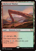 Image for Sheltered Thicket (178) (EOC) - Magic: The Gathering