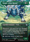 Torgal, A Fine Hound