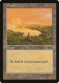 Image for Plains (334) (334) (USG) - Magic: The Gathering
