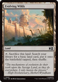 Image for Evolving Wilds (Surge Foil) (240) (MSC) - Magic: The Gathering