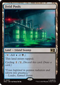 Image for Fetid Pools (243) (MSC) - Magic: The Gathering