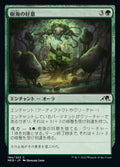 Favor of Jukai