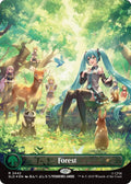Image for Forest (2442) (2442) (SLD) - Magic: The Gathering