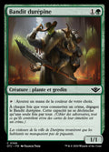 Hardbristle Bandit
