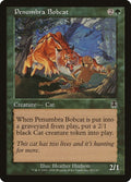 Image for Penumbra Bobcat (82) (APC) - Magic: The Gathering
