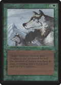 Image for Aspect of Wolf (LEB) - Magic: The Gathering