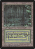 Image for Bayou (LEB) - Magic: The Gathering