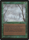 Image for Fog (LEB) - Magic: The Gathering
