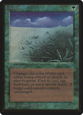 Image for Lifelace (LEB) - Magic: The Gathering