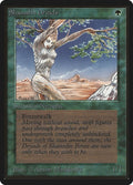 Image for Shanodin Dryads (LEB) - Magic: The Gathering