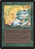 Image for Verduran Enchantress (LEB) - Magic: The Gathering