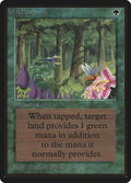 Image for Wild Growth (LEB) - Magic: The Gathering