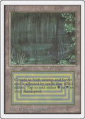 Image for Bayou (2ED) - Magic: The Gathering