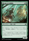 Intrepid Tenderfoot