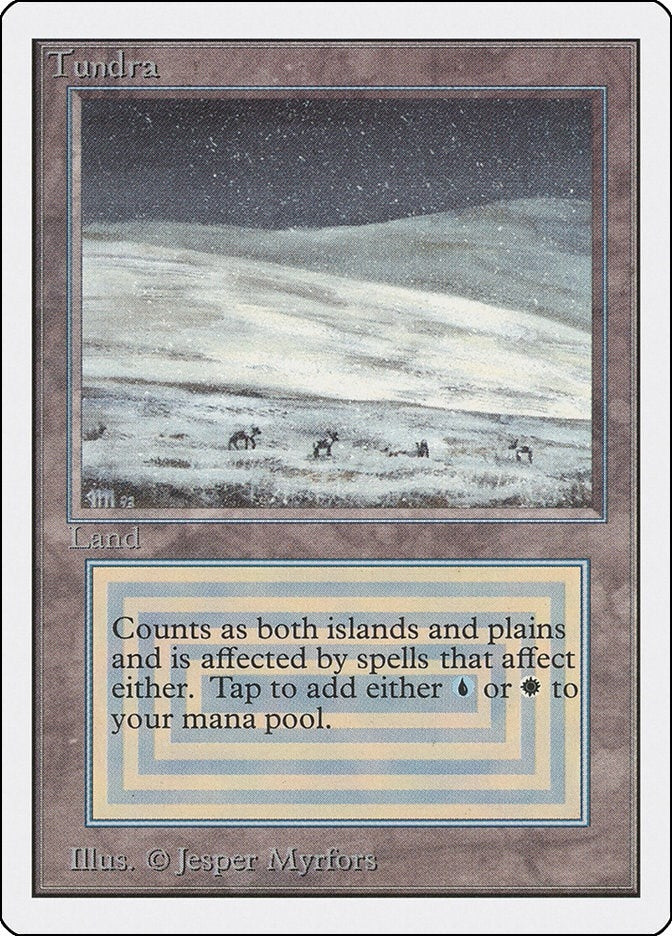 Image for Tundra (2ED) - Magic: The Gathering