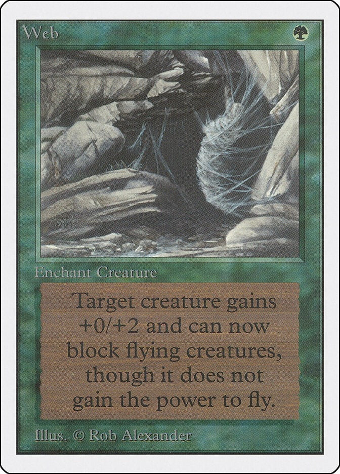Image for Web (2ED) - Magic: The Gathering