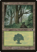 Image for Forest (350) (350) (ODY) - Magic: The Gathering