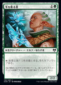 Sculptor of Winter