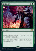 Splendid Reclamation