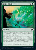 Mage Duel