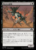 Accursed Marauder
