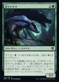 Bog Badger