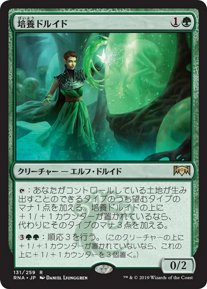 Incubation Druid