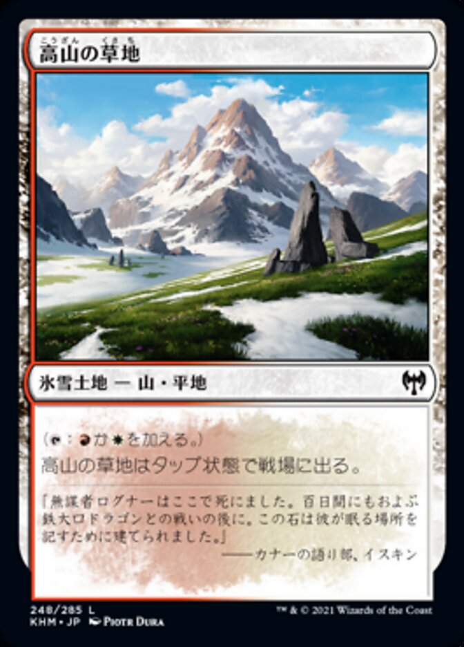 Alpine Meadow