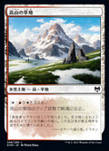 Alpine Meadow