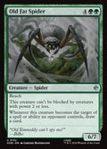 Old Fat Spider