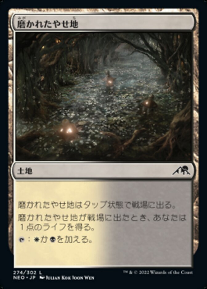 Scoured Barrens