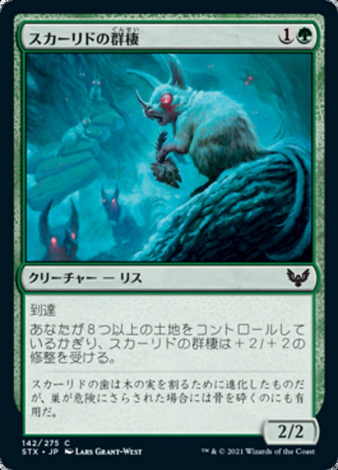 Scurrid Colony