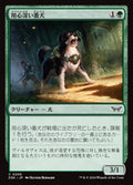 Wary Watchdog